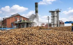 73 yıllık üretim sona erdi: Adapazarı Şeker Fabrikası kapandı