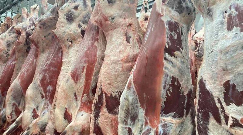 Kurban Bayramı Öncesi Et Piyasasında 100 Günlük Sıkışma